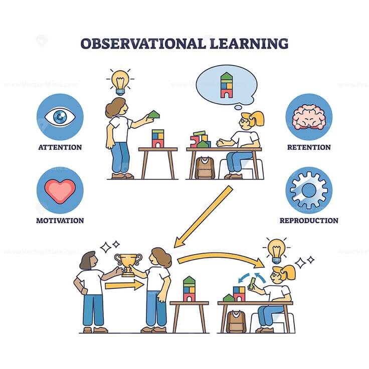 Diagram illustrating observational learning, showing stages of attention, retention, motivation, and reproduction through example activities