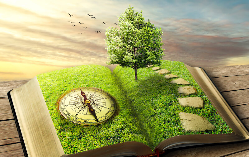 Open book forming a landscape with a grassy path, a tree, and a compass, symbolising learning, direction, and personal development